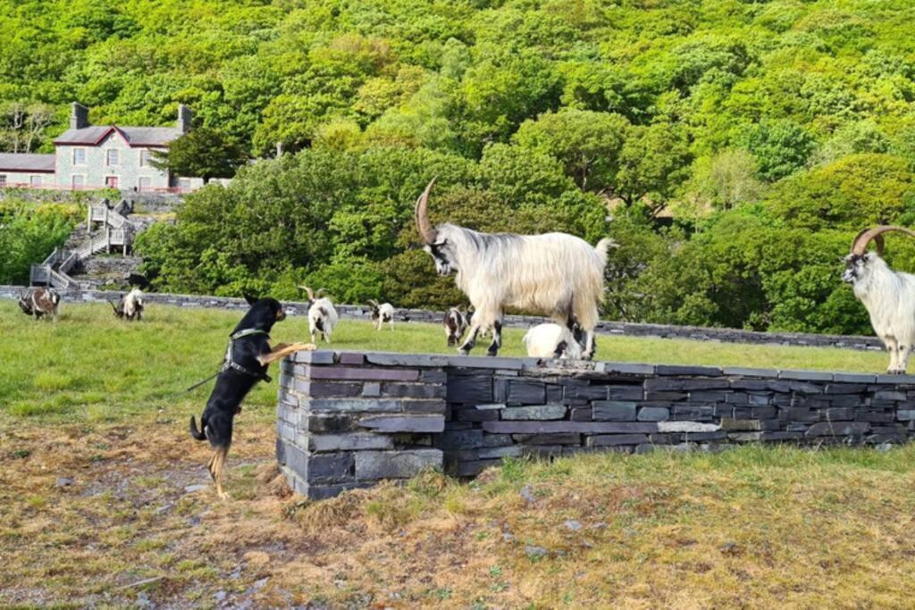 Minafon Villa Llanberis Kültér fotó